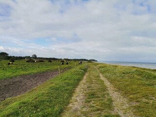 Casa per le vacanze Nordborg  41