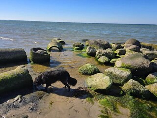 Holiday house Nordborg  46