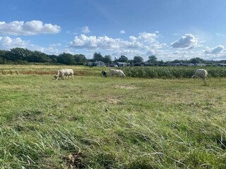 Holiday house Nordborg  37