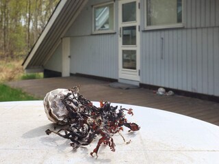 Maison de vacances Læsø  16