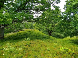 Maison de vacances Silkeborg  31