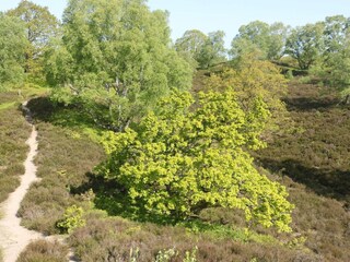 Holiday house Silkeborg  28