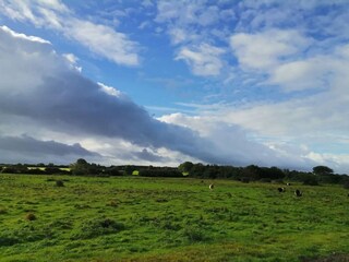 Casa de vacaciones Købingsmark  14