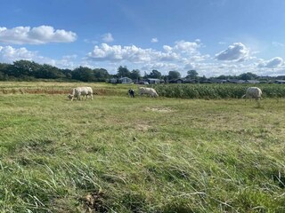 Maison de vacances Købingsmark  37