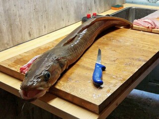 Casa per le vacanze Masfjorden  27