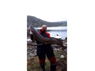 Ferienhaus Masfjorden  41