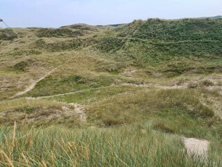 Maison de vacances Skagen  20