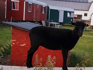 Ferienhaus Grömitz Ausstattung 23