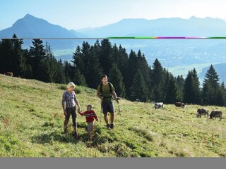 Appartamento per vacanze Bolsterlang Ambiente 25