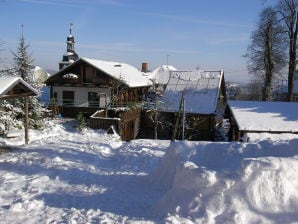 Holiday house Weitsicht - Oberweissbach - image1