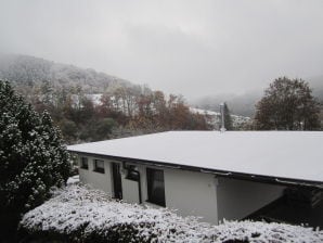 Ferienhaus Deimann - Schmallenberg - image1