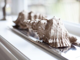 Ferienhaus Braderup (Sylt) Ausstattung 6
