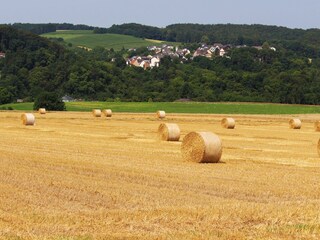 Appartement de vacances Weinbach Environnement 22