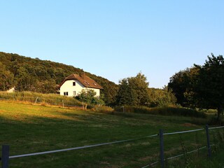 Appartement de vacances Weinbach Environnement 24