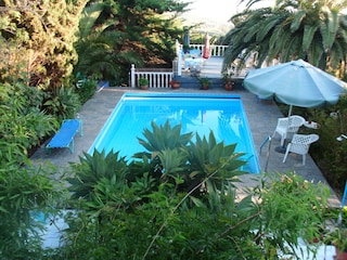 Pool level