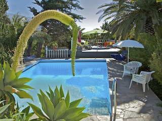 Pool on the garden level