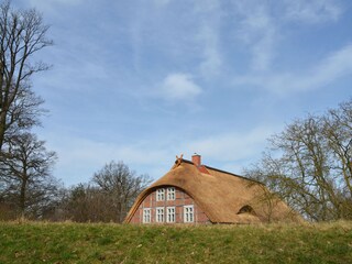Maison de vacances Lenzen Enregistrement extérieur 2