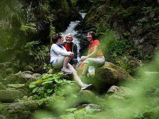 Holiday apartment Friedenweiler Environment 21