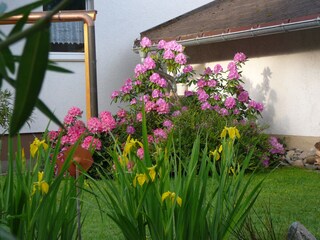 Ferienwohnung Friedenweiler Umgebung 33