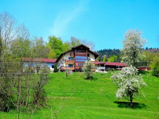 Vakantieappartement Unterach am Attersee Buitenaudio-opname 3