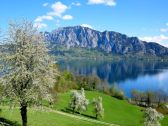 Holiday apartment Unterach am Attersee Outdoor Recording 1