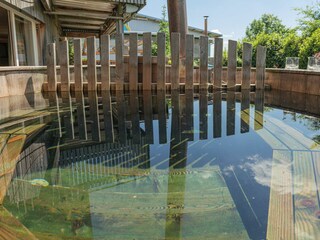 Casa per le vacanze Dornstetten Registrazione all'aperto 7