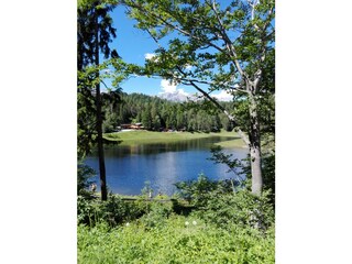 Appartamento per vacanze Leutasch Ambiente 36