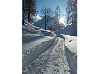 Appartamento per vacanze Leutasch Ambiente 37