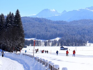 Appartamento per vacanze Leutasch Registrazione all'aperto 7