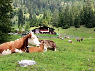 Appartamento per vacanze Leutasch Ambiente 29