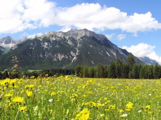 Appartamento per vacanze Leutasch Ambiente 32