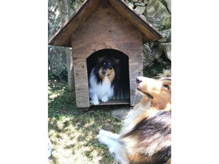 Appartamento Nesso Registrazione all'aperto 27