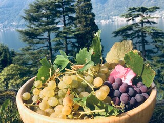 Appartamento Nesso Registrazione all'aperto 18