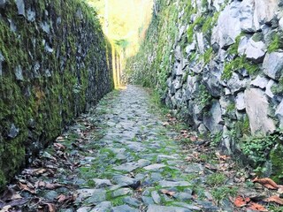 Apartamento Nesso Entorno 63