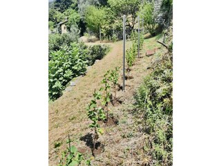 Apartamento Nesso Grabación al aire libre 32