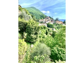 Appartement Nesso Kenmerken 55