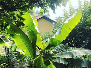 Appartamento Nesso Registrazione all'aperto 22