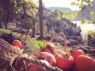 Apartamento Nesso Grabación al aire libre 24