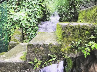 Apartamento Nesso Grabación al aire libre 25