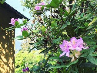 Apartamento Nesso Grabación al aire libre 26