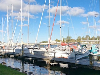 Ferienhaus Olpenitz  24