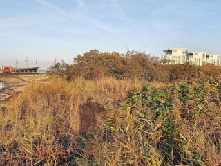 Appartement Wendtorf  41