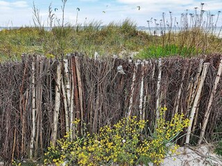 Appartement Wendtorf  54