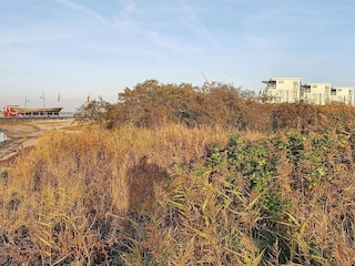 Appartement Wendtorf  7