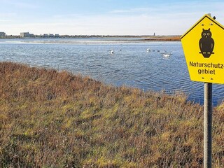 Apartment Wendtorf  40