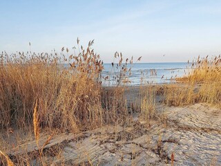 Apartment Wendtorf  41