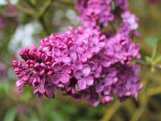 Casa per le vacanze Retschow  37