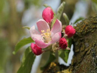 Casa per le vacanze Retschow  36