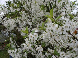 Casa per le vacanze Retschow Registrazione all'aperto 1