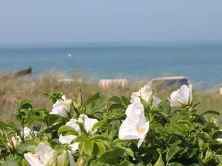 Holiday house Retschow Environment 30